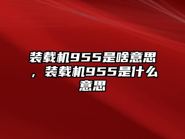 裝載機955是啥意思，裝載機955是什么意思