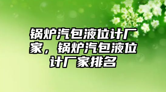 鍋爐汽包液位計廠家，鍋爐汽包液位計廠家排名