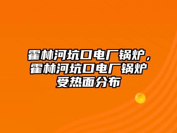 霍林河坑口電廠鍋爐，霍林河坑口電廠鍋爐受熱面分布