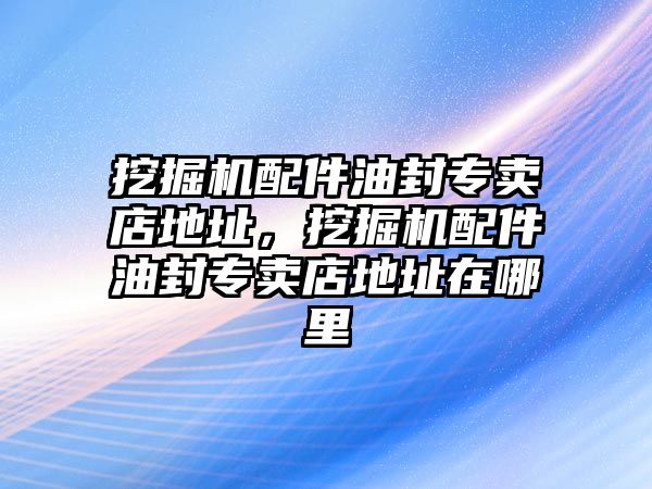 挖掘機(jī)配件油封專賣店地址，挖掘機(jī)配件油封專賣店地址在哪里