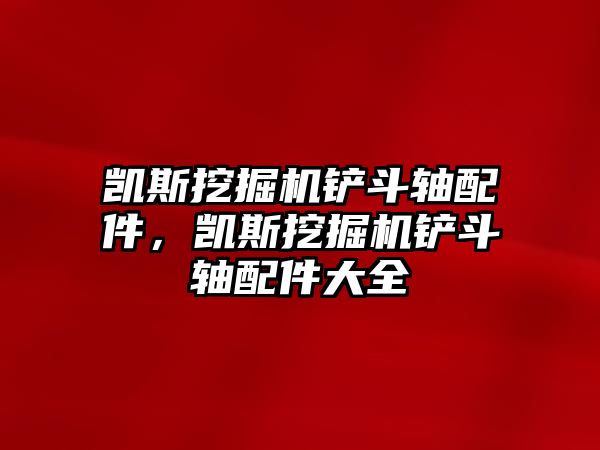 凱斯挖掘機鏟斗軸配件，凱斯挖掘機鏟斗軸配件大全