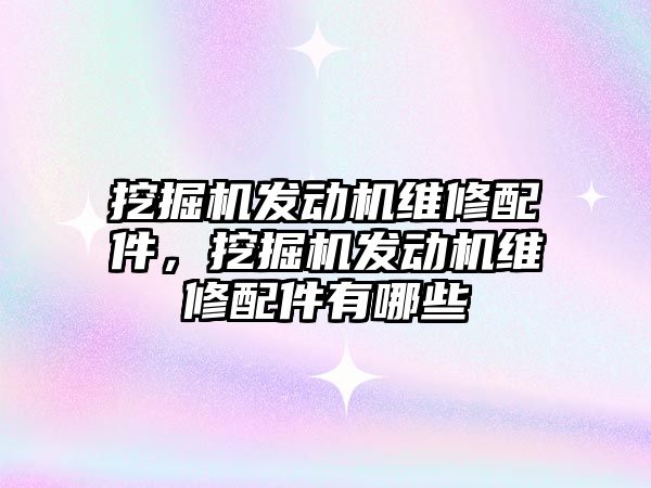 挖掘機發(fā)動機維修配件，挖掘機發(fā)動機維修配件有哪些