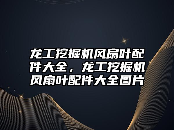 龍工挖掘機風扇葉配件大全，龍工挖掘機風扇葉配件大全圖片