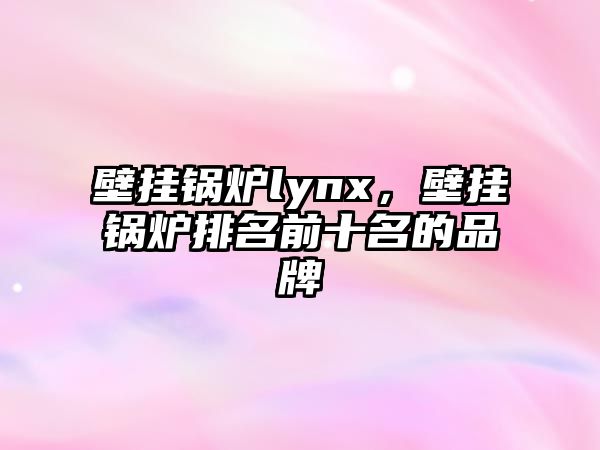 壁掛鍋爐lynx，壁掛鍋爐排名前十名的品牌