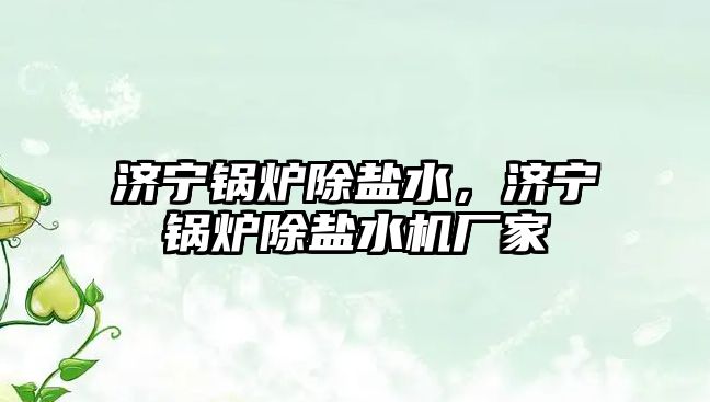 濟寧鍋爐除鹽水，濟寧鍋爐除鹽水機廠家