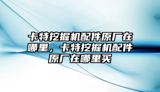 卡特挖掘機(jī)配件原廠在哪里，卡特挖掘機(jī)配件原廠在哪里買(mǎi)