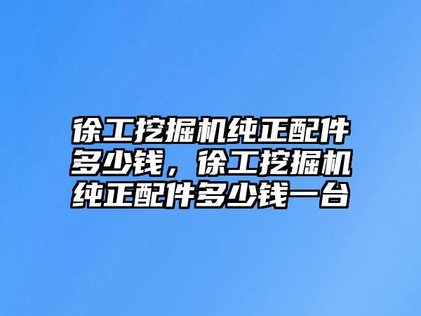 徐工挖掘機純正配件多少錢，徐工挖掘機純正配件多少錢一臺