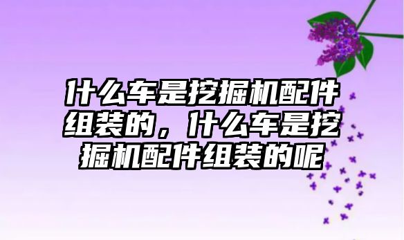 什么車是挖掘機配件組裝的，什么車是挖掘機配件組裝的呢