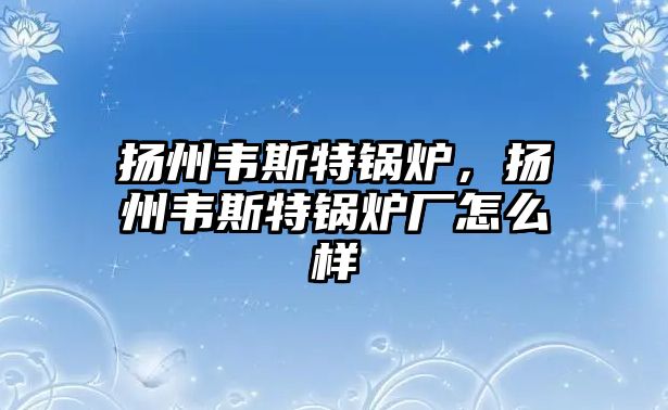 揚(yáng)州韋斯特鍋爐，揚(yáng)州韋斯特鍋爐廠怎么樣