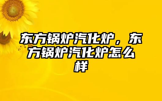 東方鍋爐汽化爐，東方鍋爐汽化爐怎么樣