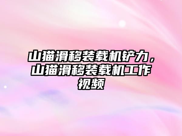 山貓滑移裝載機鏟力，山貓滑移裝載機工作視頻