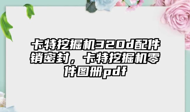 卡特挖掘機(jī)320d配件銷(xiāo)密封，卡特挖掘機(jī)零件圖冊(cè)pdf