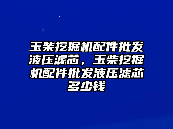 玉柴挖掘機配件批發(fā)液壓濾芯，玉柴挖掘機配件批發(fā)液壓濾芯多少錢