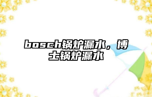 bosch鍋爐漏水，博士鍋爐漏水