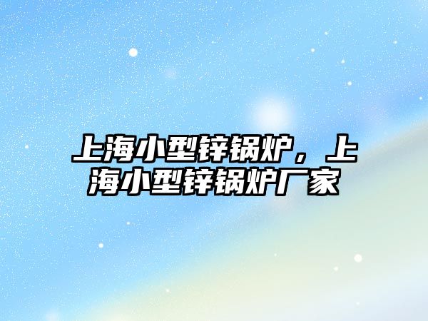 上海小型鋅鍋爐，上海小型鋅鍋爐廠家