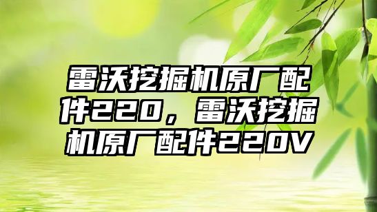 雷沃挖掘機(jī)原廠配件220，雷沃挖掘機(jī)原廠配件220V