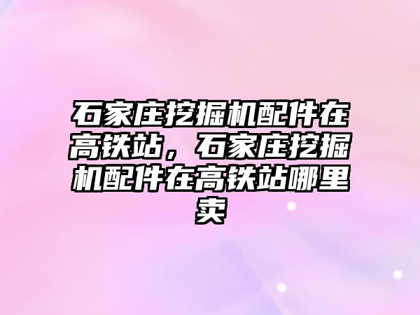 石家莊挖掘機配件在高鐵站，石家莊挖掘機配件在高鐵站哪里賣