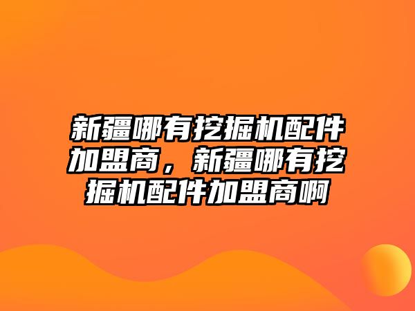 新疆哪有挖掘機配件加盟商，新疆哪有挖掘機配件加盟商啊