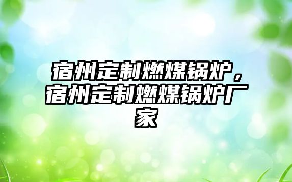 宿州定制燃煤鍋爐，宿州定制燃煤鍋爐廠家