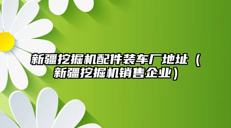 新疆挖掘機配件裝車廠地址（新疆挖掘機銷售企業(yè)）