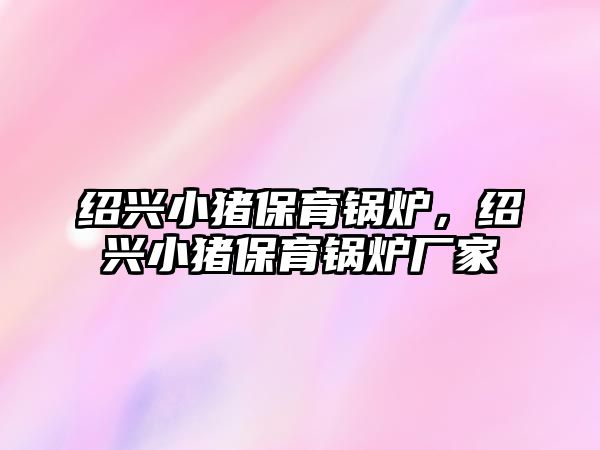 紹興小豬保育鍋爐，紹興小豬保育鍋爐廠家