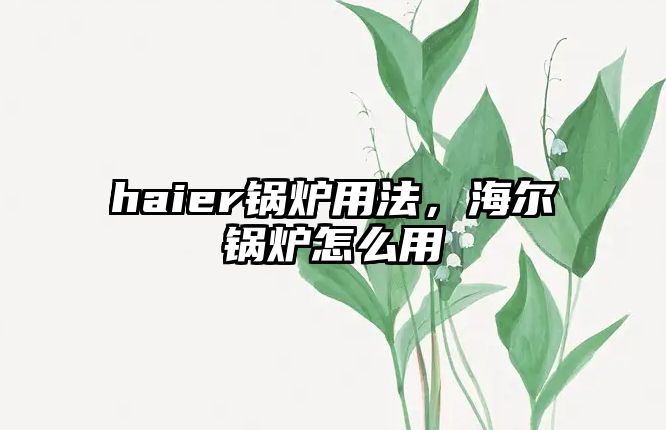 haier鍋爐用法，海爾鍋爐怎么用