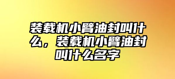 裝載機小臂油封叫什么，裝載機小臂油封叫什么名字