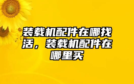 裝載機(jī)配件在哪找活，裝載機(jī)配件在哪里買(mǎi)