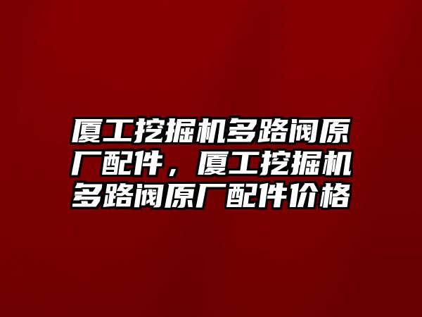 廈工挖掘機(jī)多路閥原廠配件，廈工挖掘機(jī)多路閥原廠配件價(jià)格