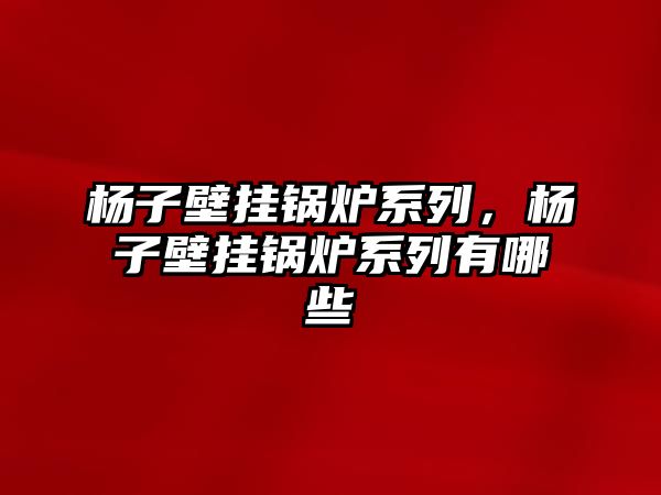 楊子壁掛鍋爐系列，楊子壁掛鍋爐系列有哪些