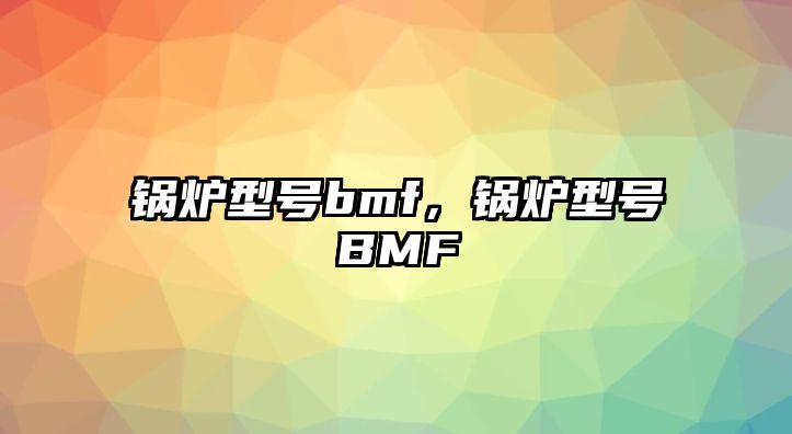 鍋爐型號bmf，鍋爐型號BMF