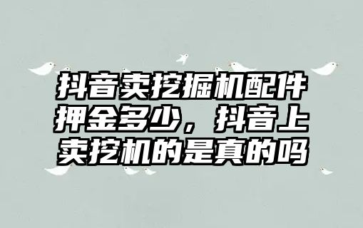 抖音賣挖掘機配件押金多少，抖音上賣挖機的是真的嗎