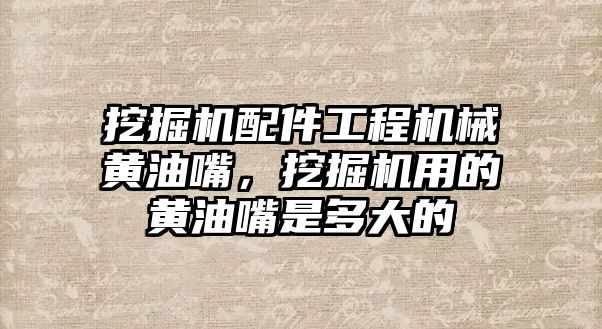 挖掘機配件工程機械黃油嘴，挖掘機用的黃油嘴是多大的