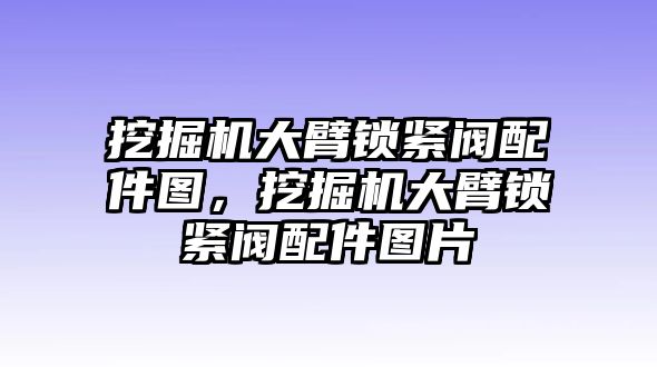 挖掘機(jī)大臂鎖緊閥配件圖，挖掘機(jī)大臂鎖緊閥配件圖片