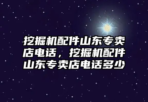 挖掘機(jī)配件山東專賣店電話，挖掘機(jī)配件山東專賣店電話多少