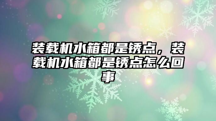 裝載機水箱都是銹點，裝載機水箱都是銹點怎么回事