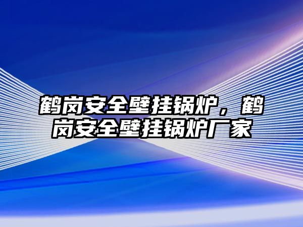 鶴崗安全壁掛鍋爐，鶴崗安全壁掛鍋爐廠家