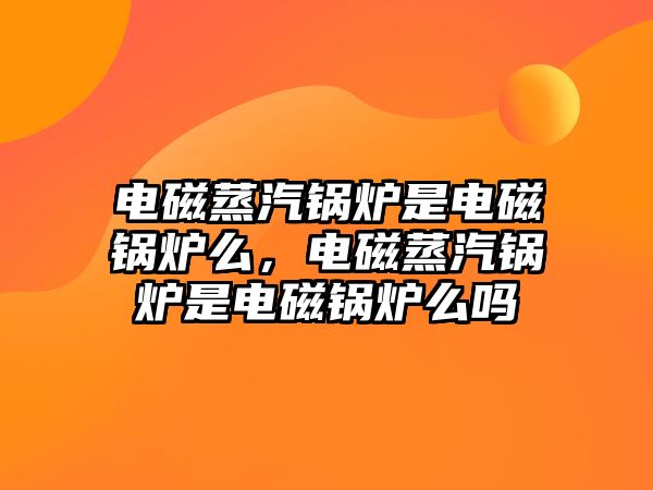 電磁蒸汽鍋爐是電磁鍋爐么，電磁蒸汽鍋爐是電磁鍋爐么嗎