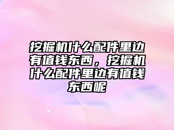 挖掘機(jī)什么配件里邊有值錢東西，挖掘機(jī)什么配件里邊有值錢東西呢