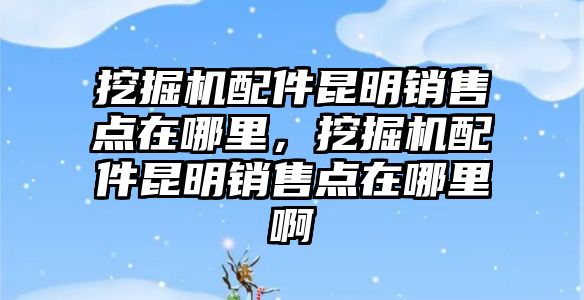 挖掘機配件昆明銷售點在哪里，挖掘機配件昆明銷售點在哪里啊