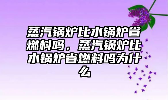 蒸汽鍋爐比水鍋爐省燃料嗎，蒸汽鍋爐比水鍋爐省燃料嗎為什么