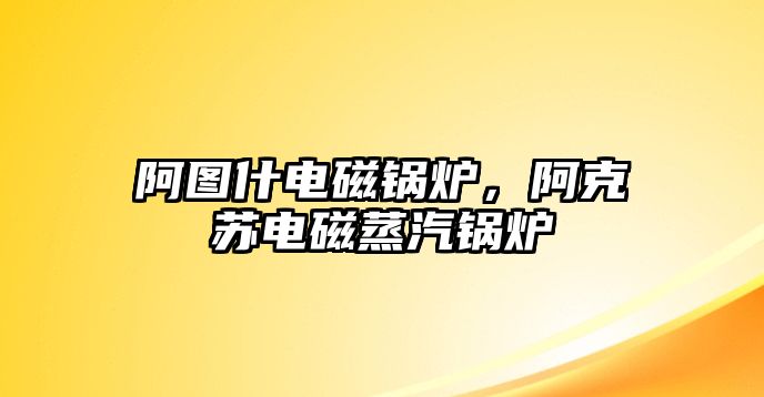 阿圖什電磁鍋爐，阿克蘇電磁蒸汽鍋爐