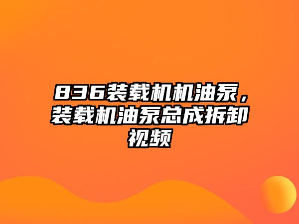 836裝載機(jī)機(jī)油泵，裝載機(jī)油泵總成拆卸視頻