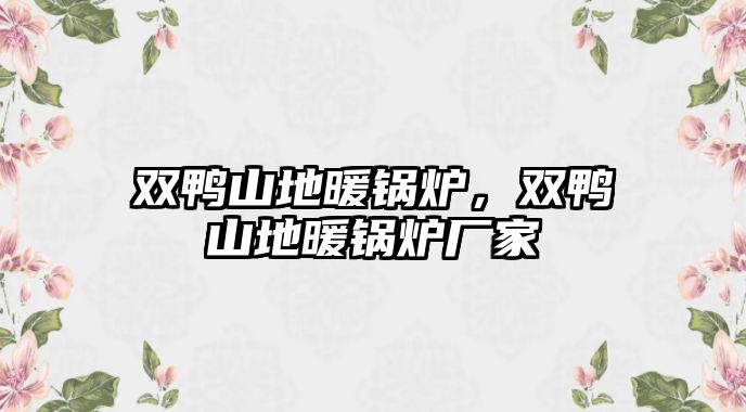 雙鴨山地暖鍋爐，雙鴨山地暖鍋爐廠家