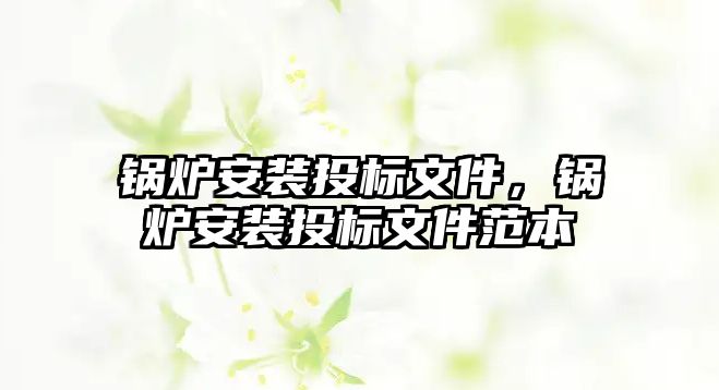 鍋爐安裝投標(biāo)文件，鍋爐安裝投標(biāo)文件范本