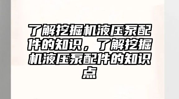 了解挖掘機液壓泵配件的知識，了解挖掘機液壓泵配件的知識點