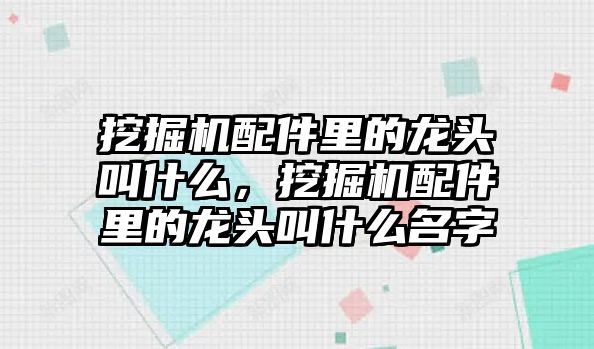 挖掘機配件里的龍頭叫什么，挖掘機配件里的龍頭叫什么名字