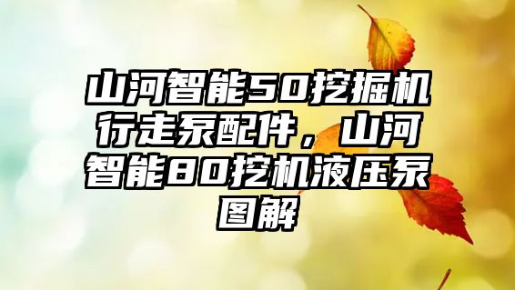 山河智能50挖掘機行走泵配件，山河智能80挖機液壓泵圖解