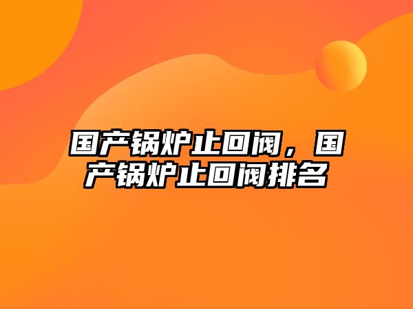 國產(chǎn)鍋爐止回閥，國產(chǎn)鍋爐止回閥排名