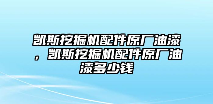 凱斯挖掘機(jī)配件原廠油漆，凱斯挖掘機(jī)配件原廠油漆多少錢(qián)